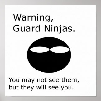 Poster Guarda Ninjas