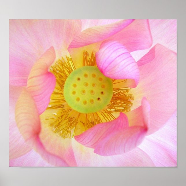 Poster Guardado gentilmente (Frente)