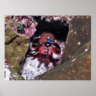 Poster Guardando a entrada