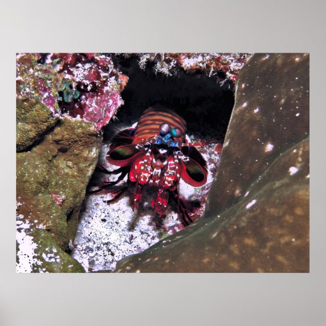 Poster Guardando a entrada (Frente)