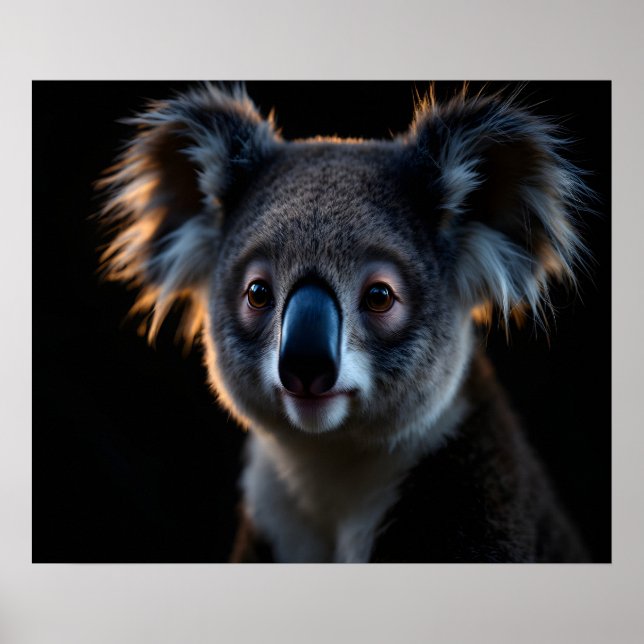Poster Guardian Calm Koala – Cinematic Night Wildlife Por (Frente)