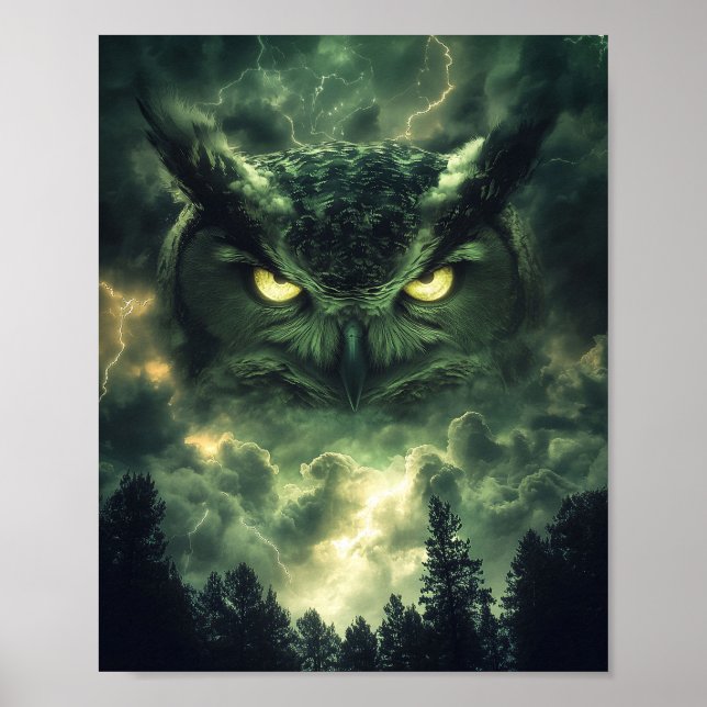 Poster Guardião da Coruja da Tempestade (Frente)