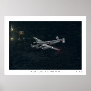 Pôster Guardião vigilante