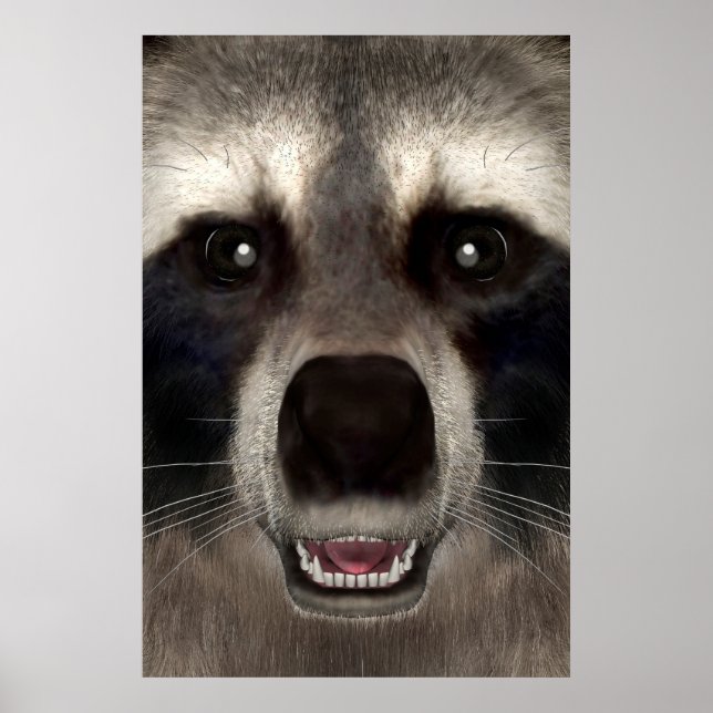 Poster Guaxinim (Frente)