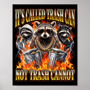 Poster Guaxinim É Chamado Lixo Lata Não Lixo Não Pode Div