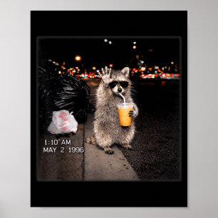 Poster Guaxinim engraçado bebendo café gelado meme animal