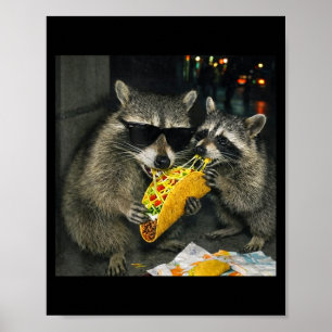 Poster Guaxinins comendo taco lixo engraçado panda comida