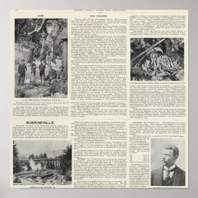 Poster Guerneville, Califórnia (Frente)