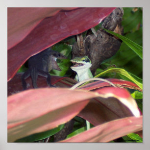 Pôster Guerra do réptil