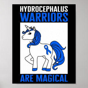 Poster Guerreiro da Consciência
