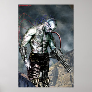 Poster guerreiro relutante