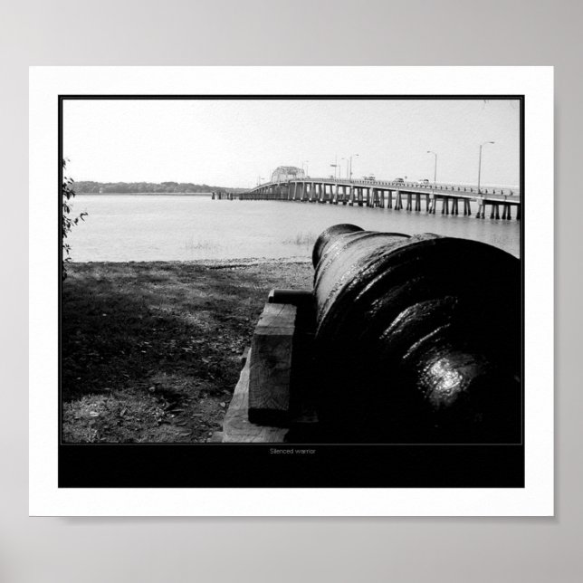 Pôster Guerreiro silenciado (Frente)