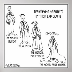 Pôster Guia da identificação aos cientistas