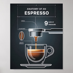 Poster Guia de Espresso para Amantes de Café para Decoraç