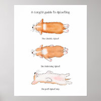 Guia de filhotes de corgi giratório para posiciona