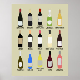 Poster Guia de Identificação de Variedades de Vinhos