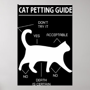 Poster Guia de preparação de gatos