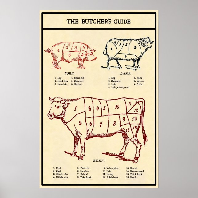Poster Guia do Botão Vintage c. 1924 (Frente)