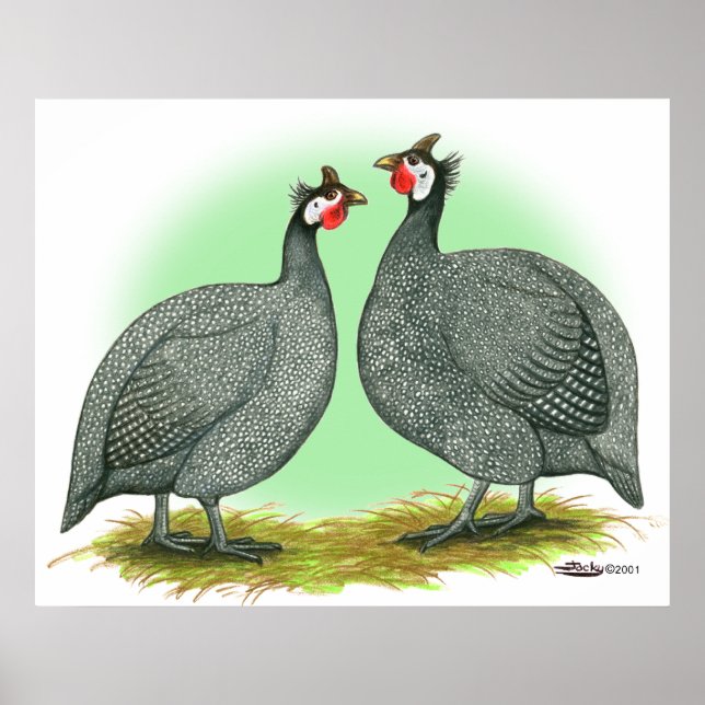 Pôster Guiné: Francês (Frente)