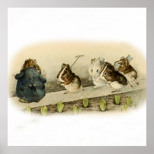 Poster "Guiné Pig Garden" por Beatrix Potter (Frente)