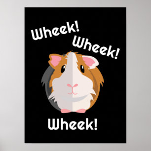 Poster Guiné Pig Love