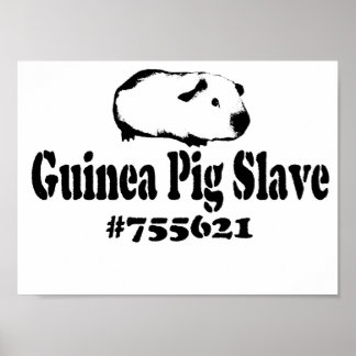 Pôster Guinea Pig Slave