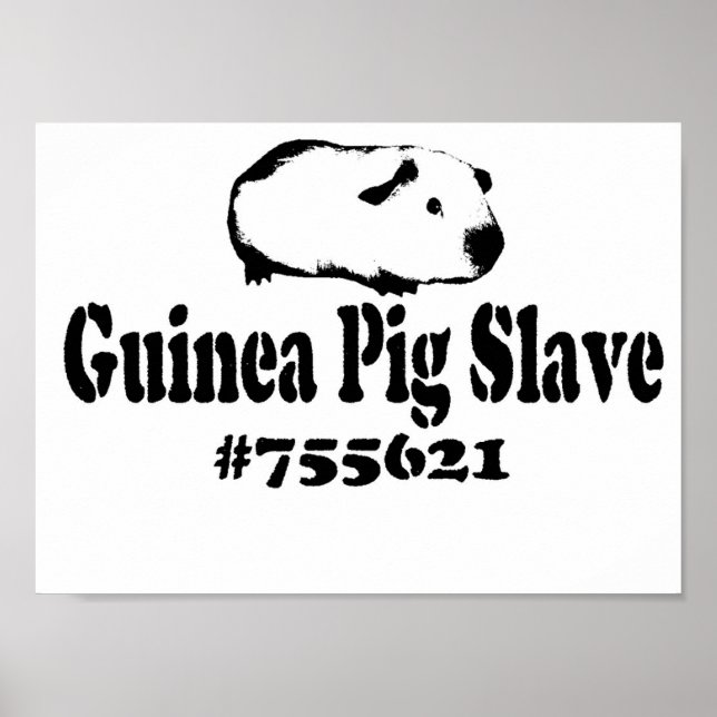 Pôster Guinea Pig Slave (Frente)