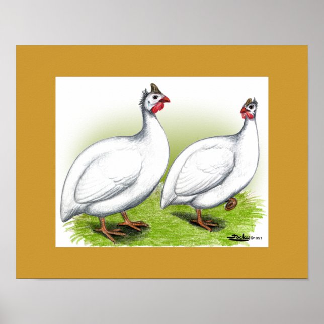 Pôster Guineas: Branco (Frente)