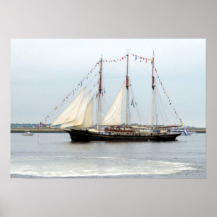 Poster Gulden Leeuw