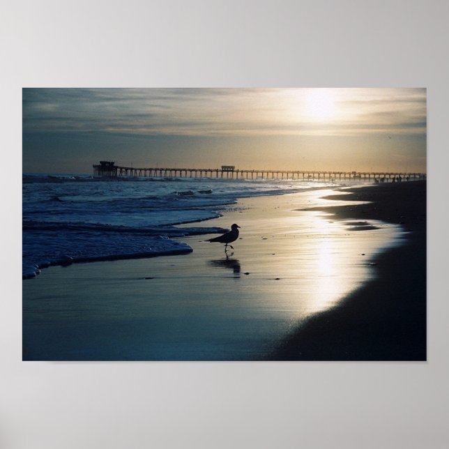 Pôster Gull (Frente)