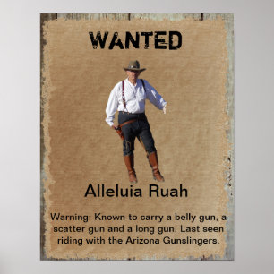 Poster Gunslinger do Oeste