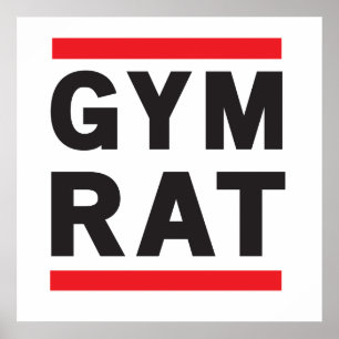 Pôster Gym Rat