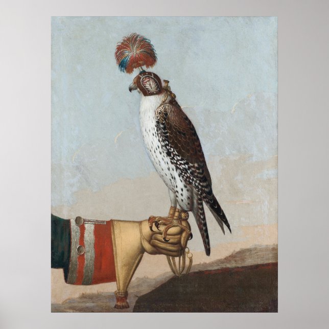Poster Gyrfalcon Islandico (Frente)