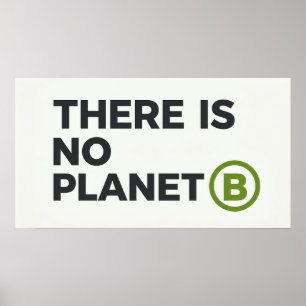 Poster Há Ambientalista Sem Planeta B