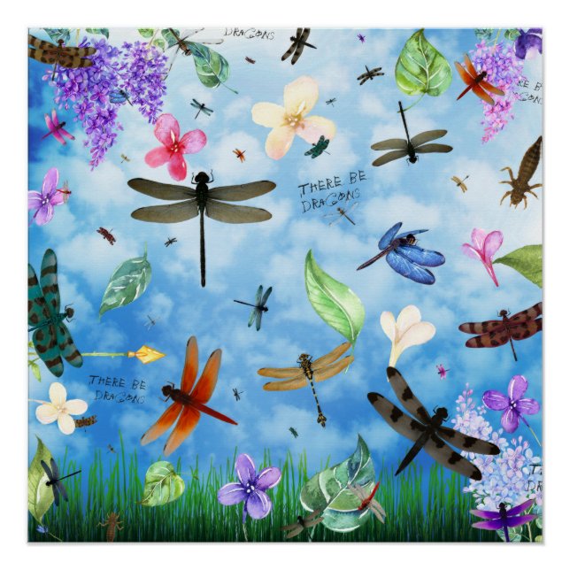 Pôster Há Dragões (Frente)