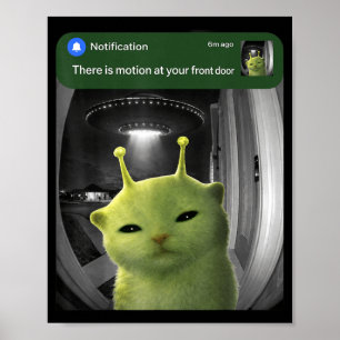 Poster Há Movimento Na Porta Da Frente Gato Engraçado Mem