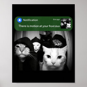 Poster Há movimento na porta da frente gato engraçado mov