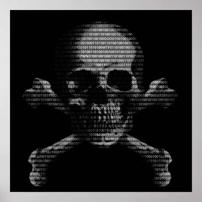 Pôster Hacker Skull e Crossbones (Frente)