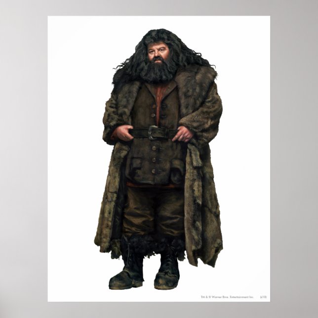 Pôster Hagrid (Frente)