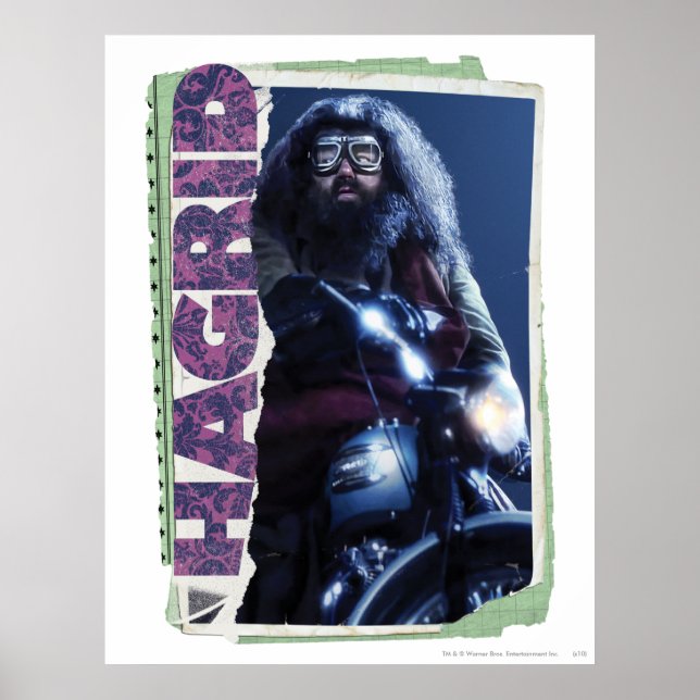 Poster Hagrid (Frente)