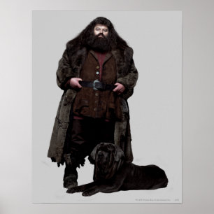 Pôster Hagrid e Cão