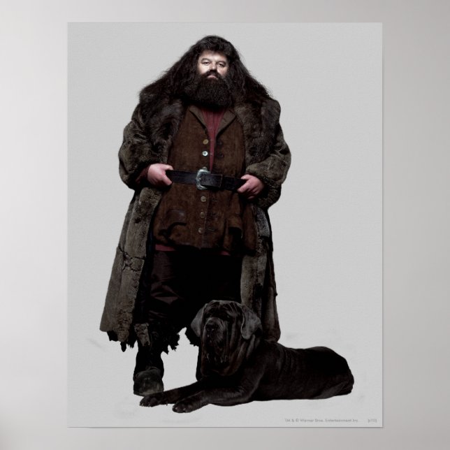 Pôster Hagrid e Cão (Frente)