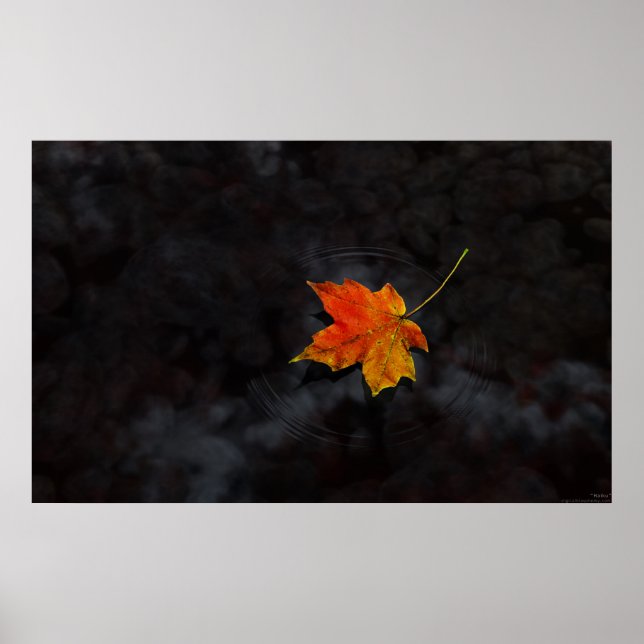 Poster Haiku (Frente)