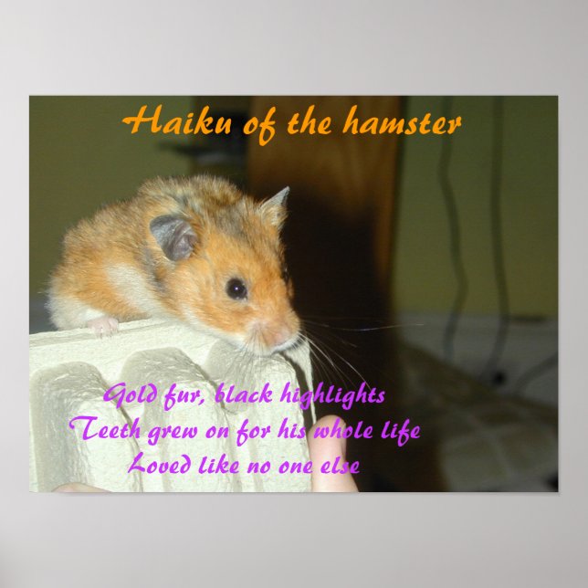 Poster Haiku do Hamster 1 (Frente)