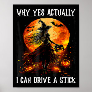 Poster Halloween Por Que Sim Posso Dirigir Um Pau