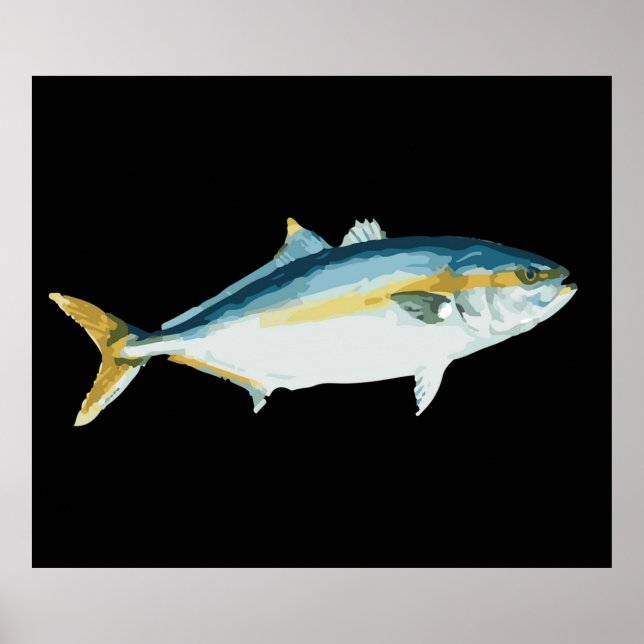 Poster Hamachi Yellowtail Amberjack (Frente)