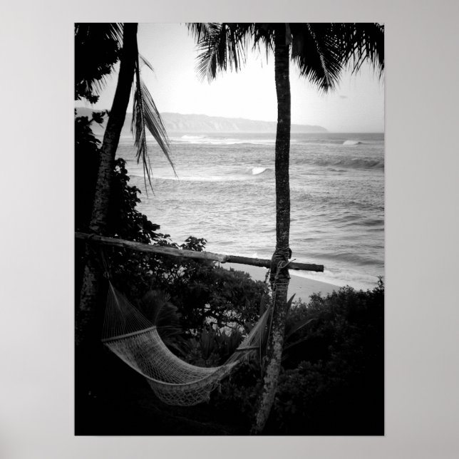 Poster Hammock Overlook the North Shore (Frente)