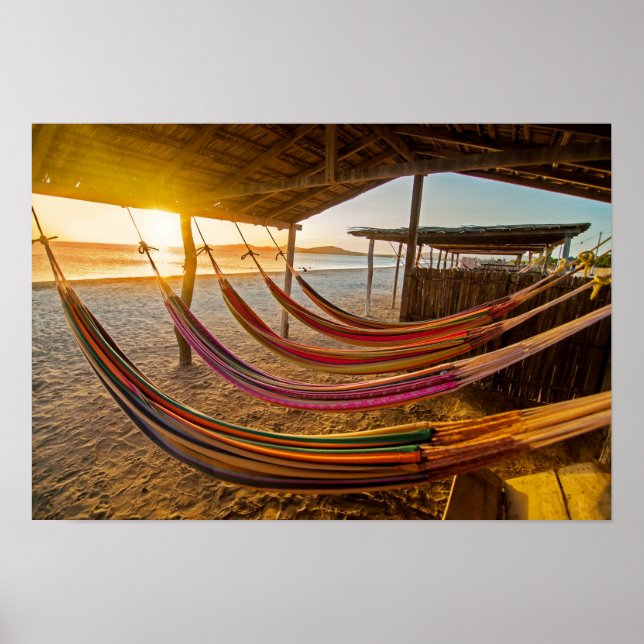 Poster Hammocks (Frente)
