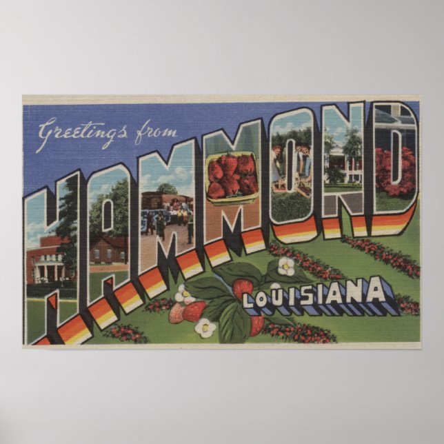 Poster Hammond, Louisiana - Cenas com Letras Grandes (Frente)