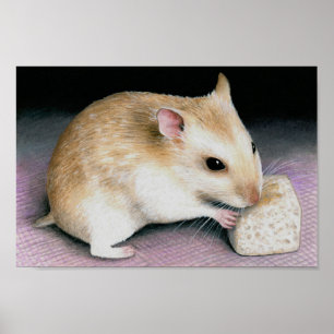 Poster Hamster Bonito 18
